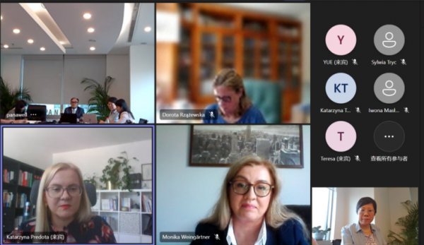 Successful webinar on "IP Plus" International Intellectual Property Professional Exchange Series on Trademark Application and EU Design Reform in China and Europe